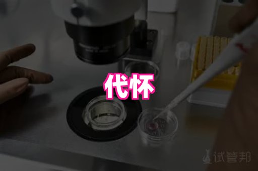 gfg孕网 4